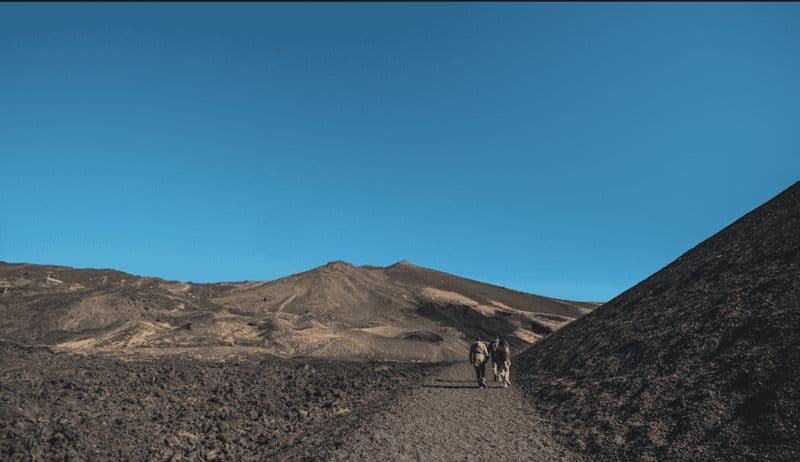 Billet Catane : excursion matinale sur l'Etna avec dégustation et prise en charge