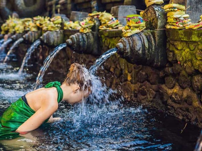 Billet Ubud : Visite du temple Tirta Empul, des rizières en terrasses et des chutes d'eau