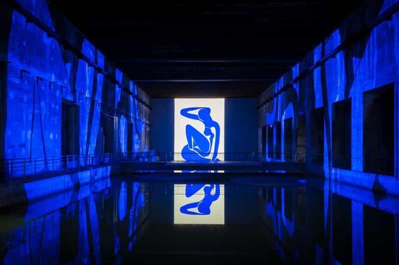 Billet Bordeaux : Bassins des Lumières Billet Matisse