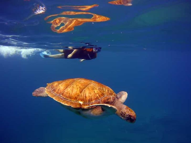 Billet Abades : Paddle Surfing et Snorkelling avec les tortues dans les récifs volcaniques