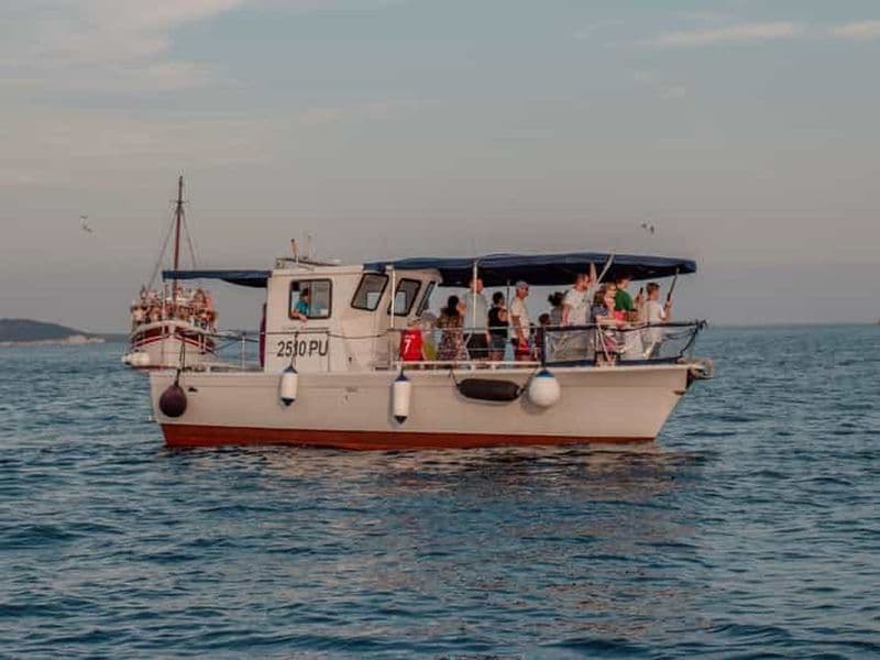 Billet Fažana : Dauphin et coucher de soleil