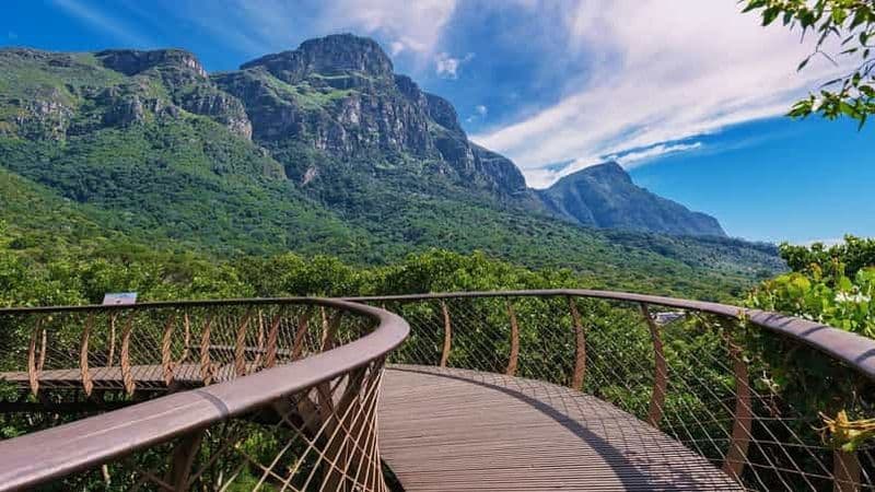 Billet Explorez Table Mountain, Kirstenbosch et les vignobles de Constantia.