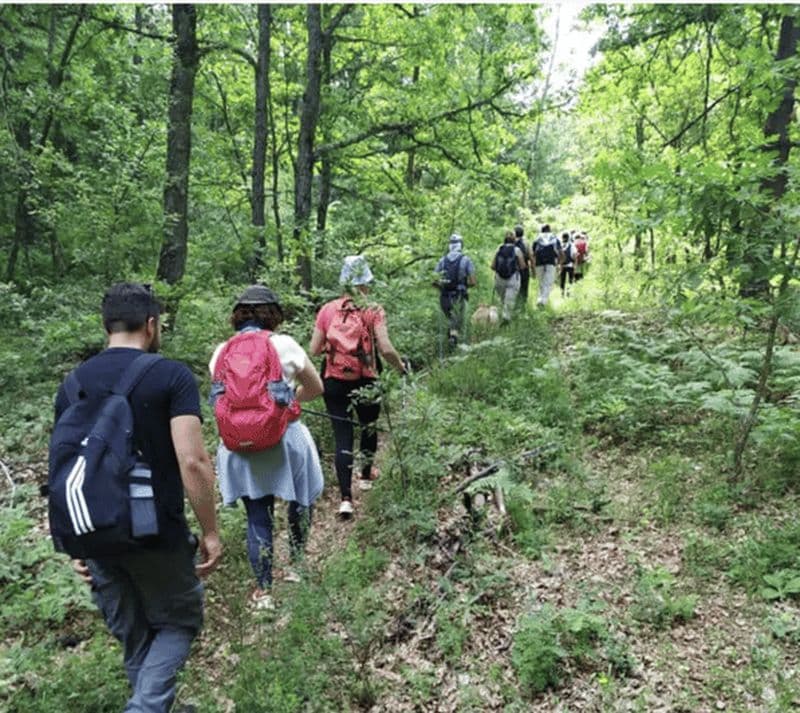 Billet Kastoria : randonnée guidée sur le mont Verno avec vue panoramique