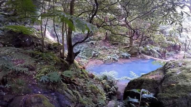 Billet Lagoa do Fogo : visite géologique du volcan guidée par un biologiste + sources chaudes