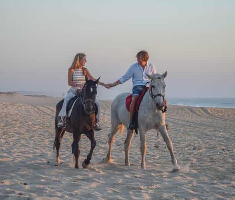 Billet Depuis Lisbonne : Randonnée à cheval sur la plage de Comporta