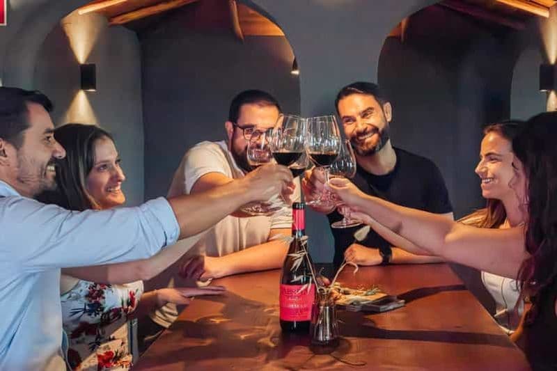 Billet Algarve : Visite d'un vignoble et dégustation de vins de qualité supérieure à Silves