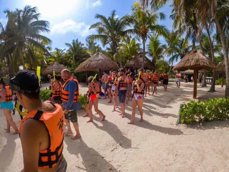 Billet Riviera Maya : Tortues en apnée et grotte Cenote