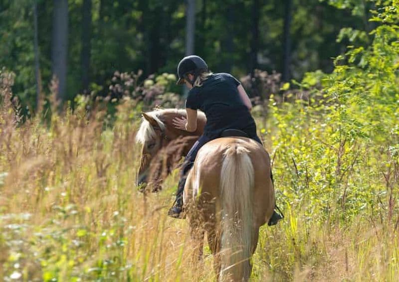 Billet Cruseilles : Randonnée à cheval dans la campagne