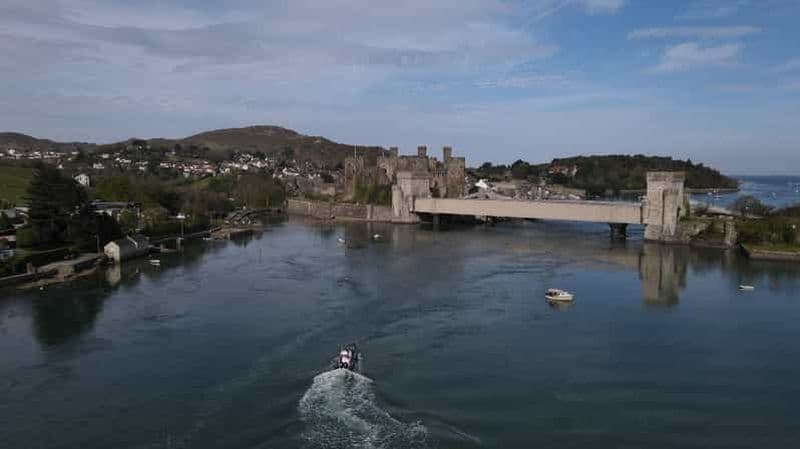 Billet Conwy : voyage à la découverte de la vie marine de la Great Orme