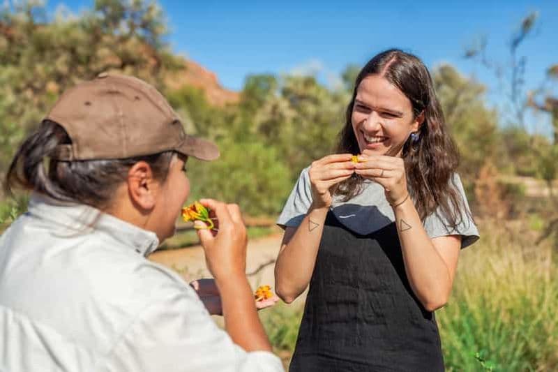 Billet Alice Springs : billet d'entrée au parc du désert