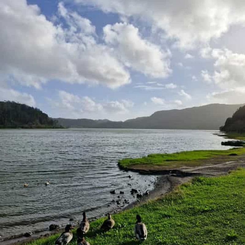 Billet Furnas : excursion d'une journée complète aux sources thermales et aux paysages volcaniques