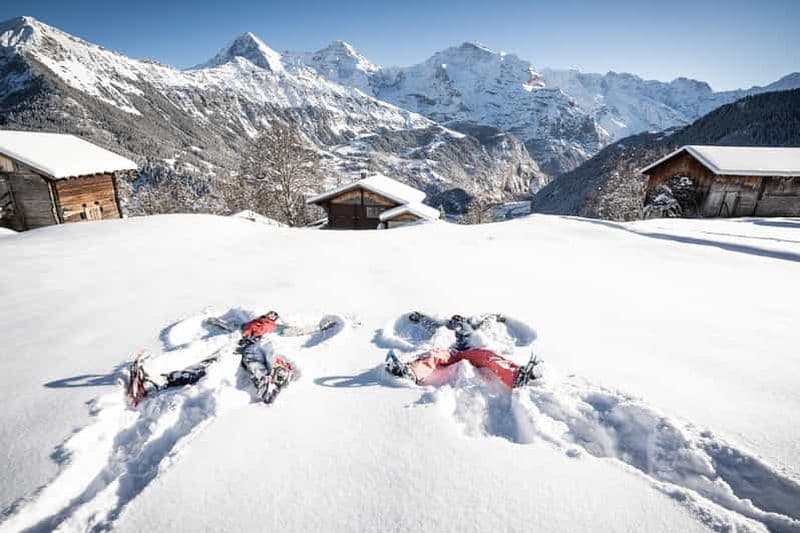 Billet Au départ d'Interlaken : visite guidée en raquettes