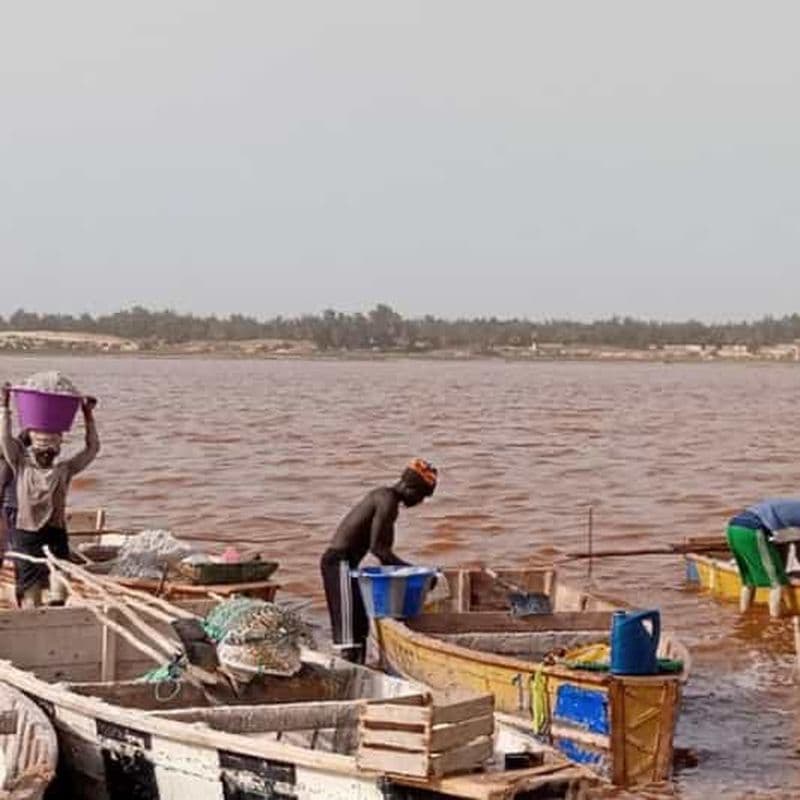 Billet De Dakar : Tour du Lac Rose et Jeep avec prise en charge à l'hôtel