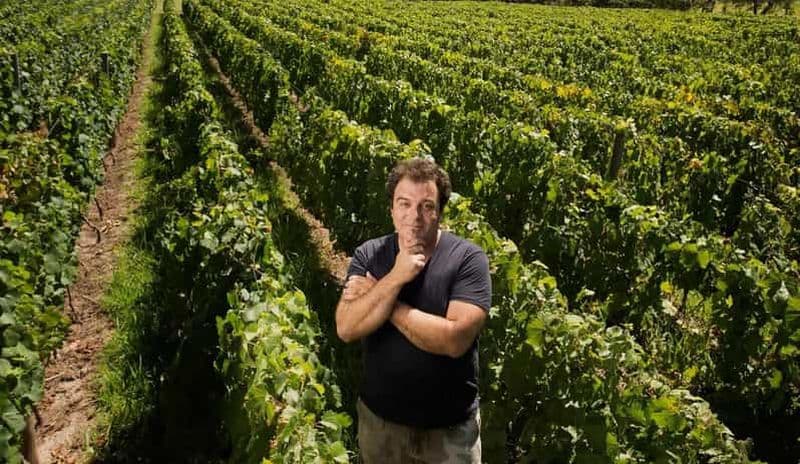 Billet Mendoza : Visite des vignobles El Enemigo et Casa Vigil