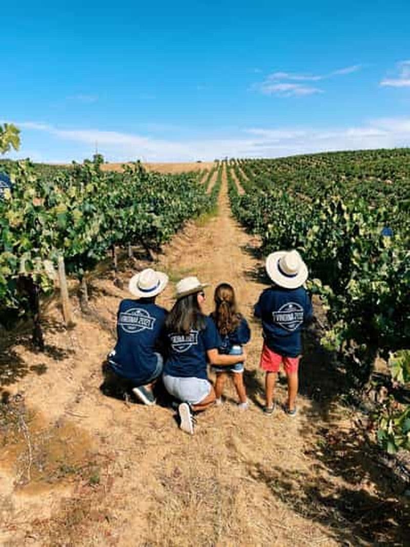 Billet Casa Relvas - Programme des vendanges avec déjeuner - Évora