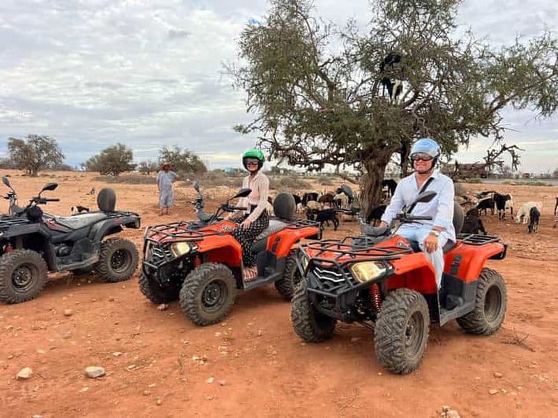 Billet Agadir : Quad et chèvres sur les arganiers avec thé