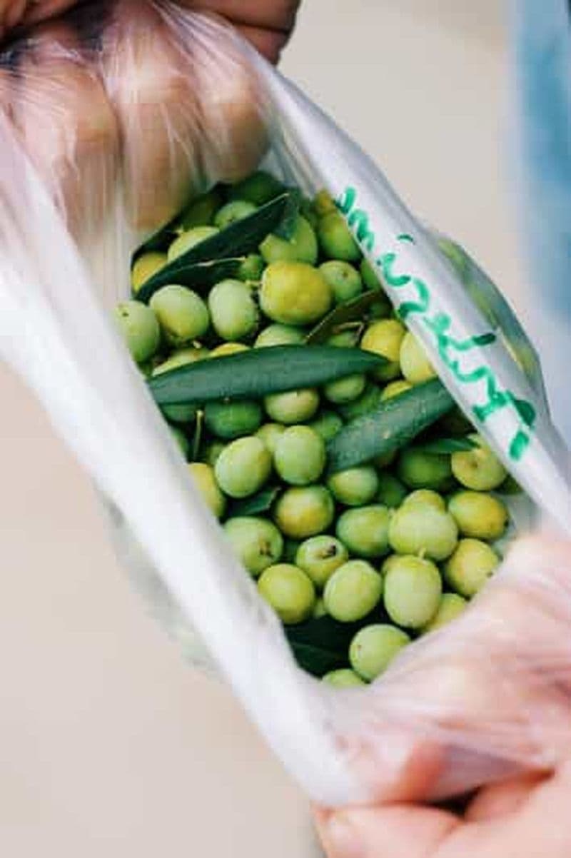 Billet Casa Relvas, Vidigueira : visite du moulin à huile et accord huiles d'olive et vins