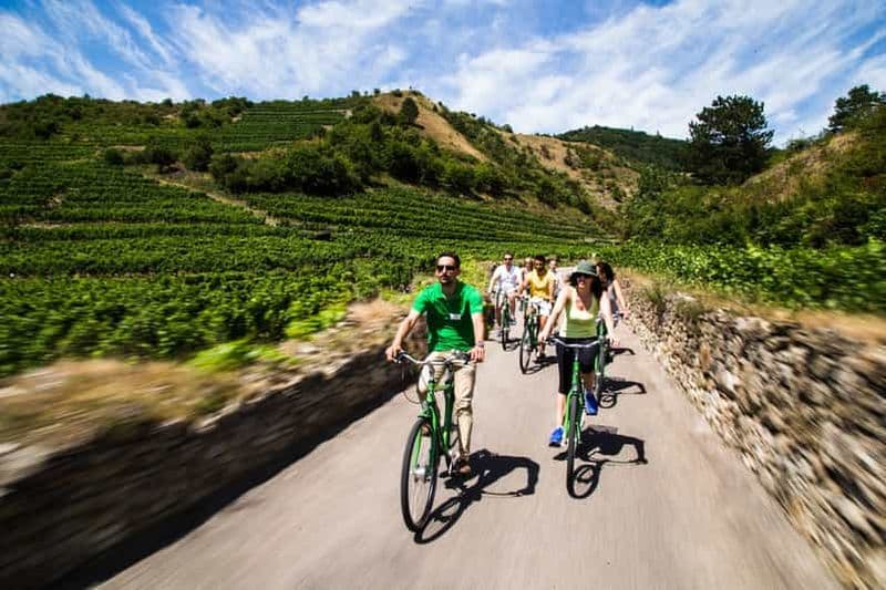 Billet La vigne en pâture : Excursion à vélo dans les vignobles de la vallée de la Wachau