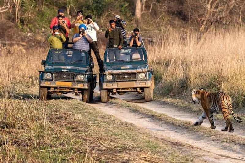Billet Delhi : Safari des tigres dans le parc national de Sariska, le même jour