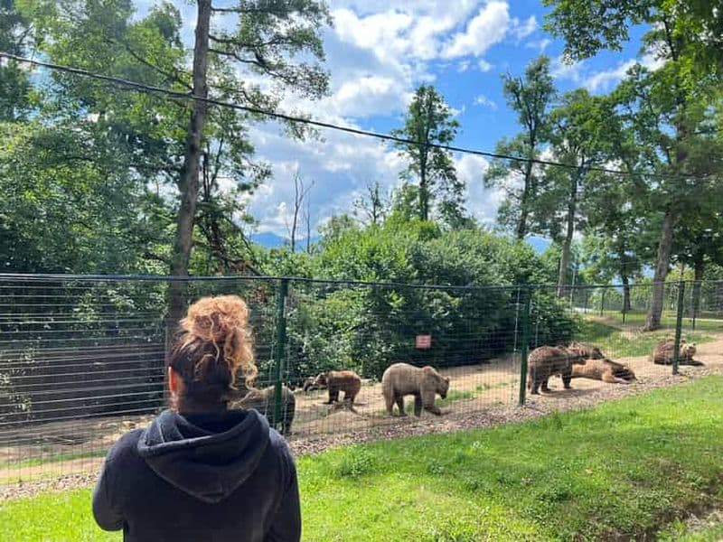 Billet Brasov : château de Bran, sanctuaire des ours, Rasnov (Peles en option)