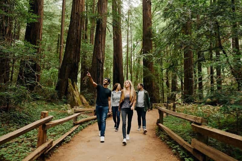 Billet San Francisco : Visite de Muir Woods et de Sausalito avec l'option de l'île d'Alcatraz