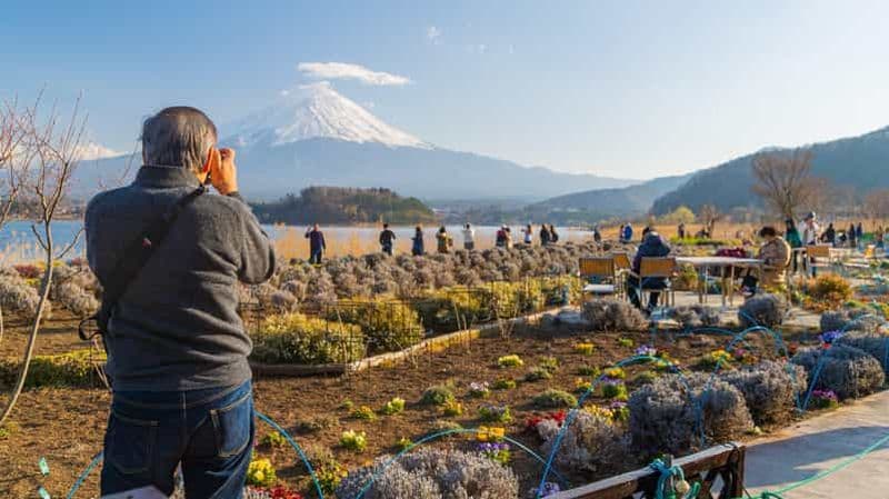 Billet Tokyo : Circuit des joyaux cachés du Mont Fuji et de la forêt d'Aokigahara