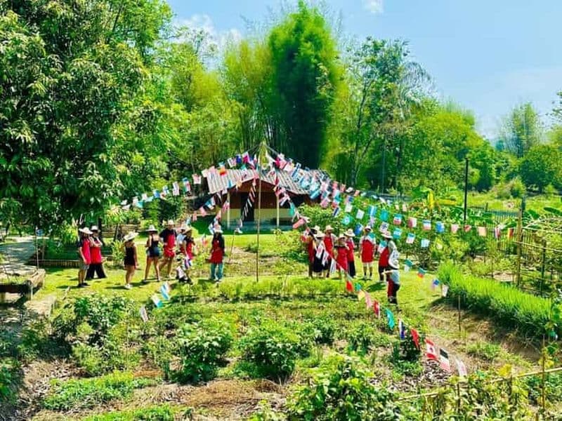 Billet Chiang Mai : cours de cuisine d'une demi-journée dans une ferme biologique