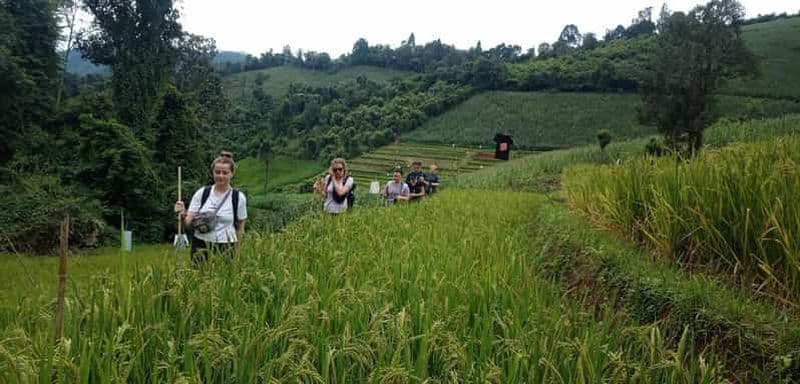 Billet Chiang Mai : 2 jours de randonnée dans la jungle avec ferme d'éléphants et balade en radeau