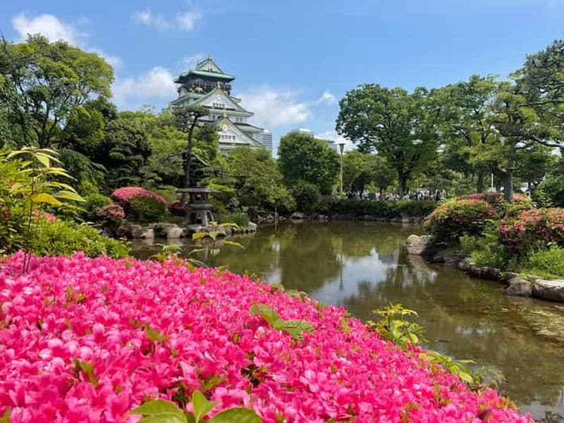Billet Osaka : Tour de ville à vélo