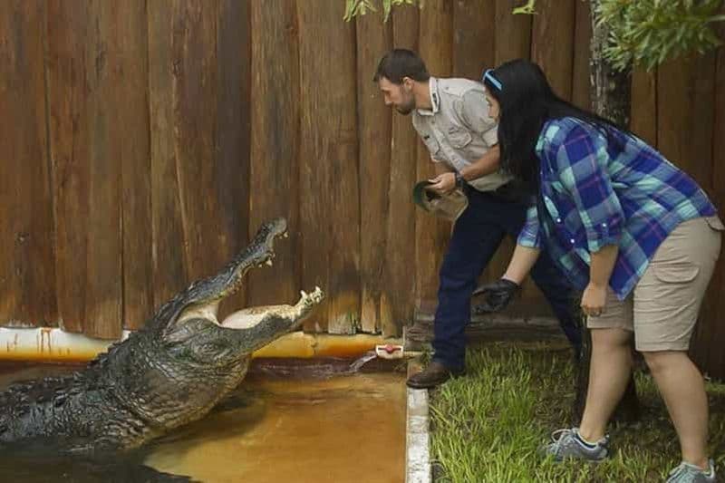 Billet Orlando: visite interactive de Gatorland avec dresseur d'animaux