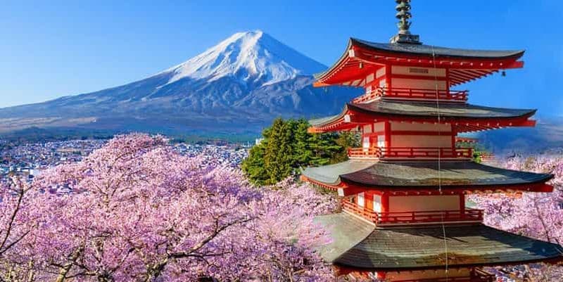 Billet Tokyo : Mont Fuji, Oshino Hakkai, lac Kawaguchi et parc Oishi