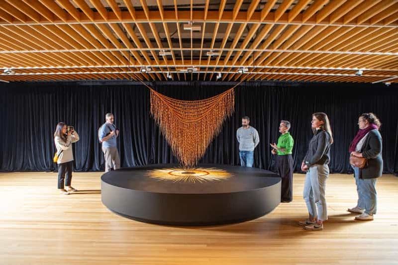 Billet Wellington : visite du Museum of New Zealand Art Narratives