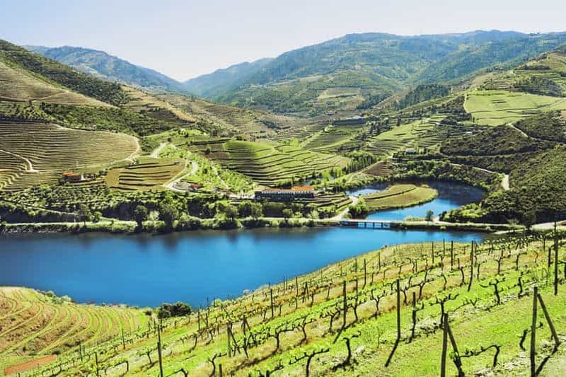 Billet Depuis Porto : visite des vignobles de la vallée du Douro avec déjeuner et croisière fluviale