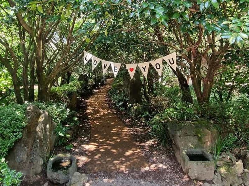 Billet Ouest et sud de Jeju : sentier Hallasan, cascade, visite d'un champ de thé