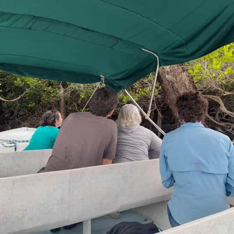 Billet Belize City : Visite du site maya de Lamanai et promenade en bateau dans la jungle