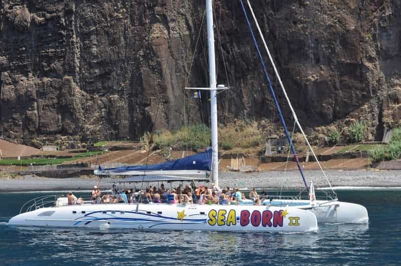 Billet Funchal : Croisière d'observation des baleines et des dauphins en catamaran