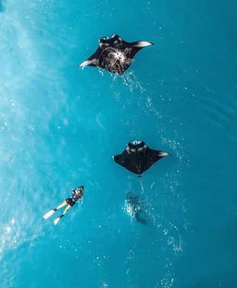 Billet Au départ de Bali : Visite privée de Nusa Penida avec plongée en apnée et visite terrestre