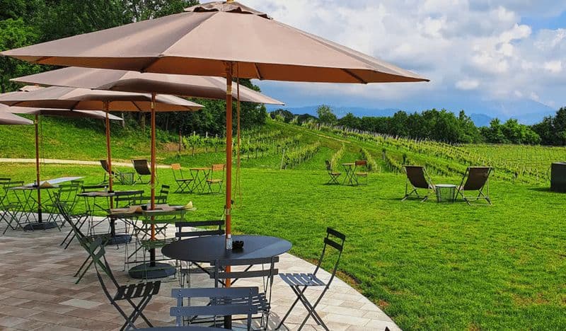 Billet Conegliano : Visite des collines et des vignobles du Prosecco