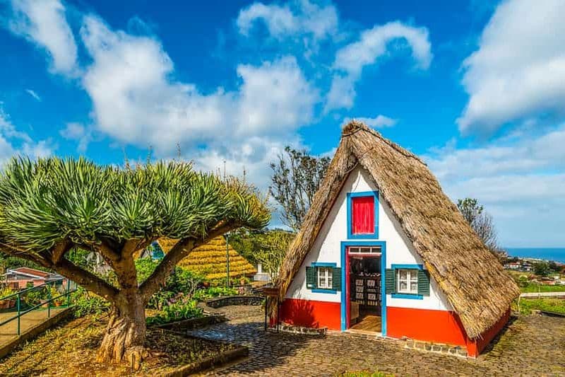 Billet Madère : le meilleur de l'Est au départ de Funchal