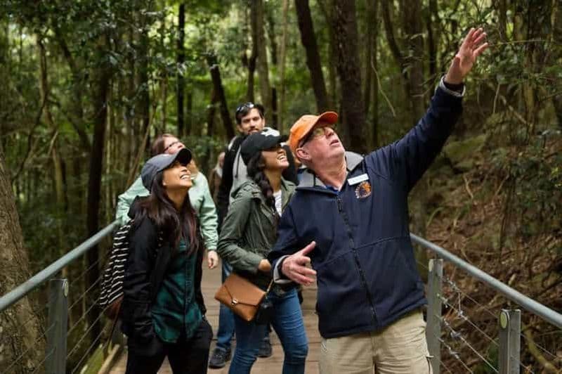 Billet Montagnes Bleues, Scenic World, faune, cascade (petit groupe)