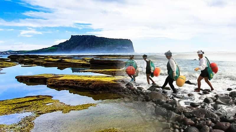 Billet Île de Jeju : visite d'une journée des temps forts de l'UNESCO à l'est de Jeju