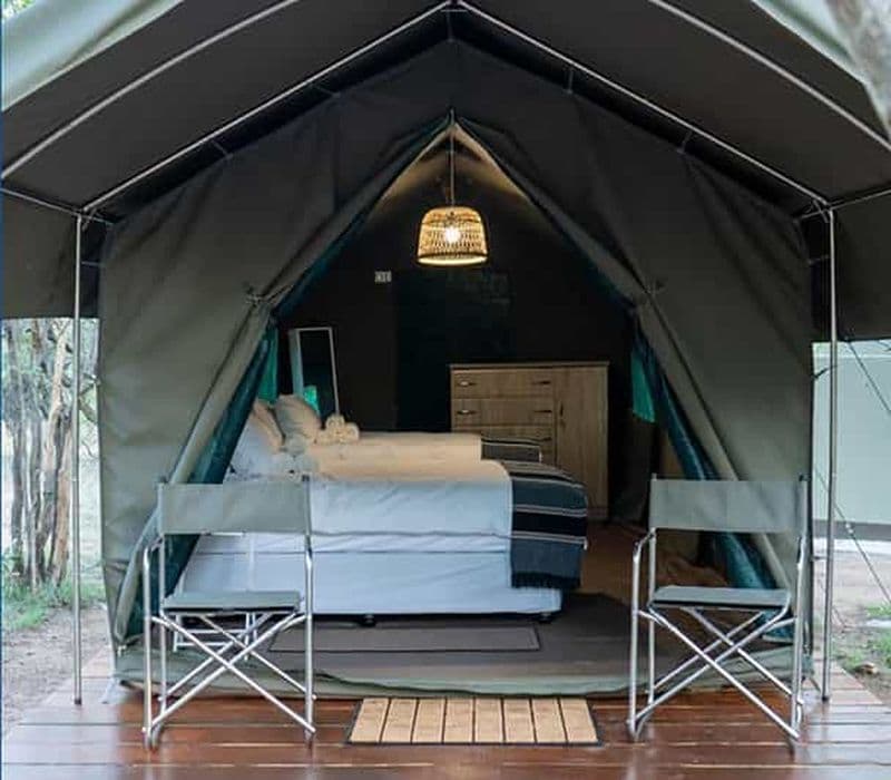 Billet Johannesburg : Safari de 3 jours dans la région de Kruger (Glamping)