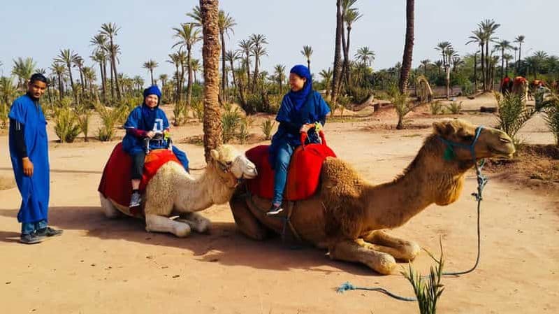 Billet Palmeraie de Marrakech : balade à dos de chameau et expérience en quad