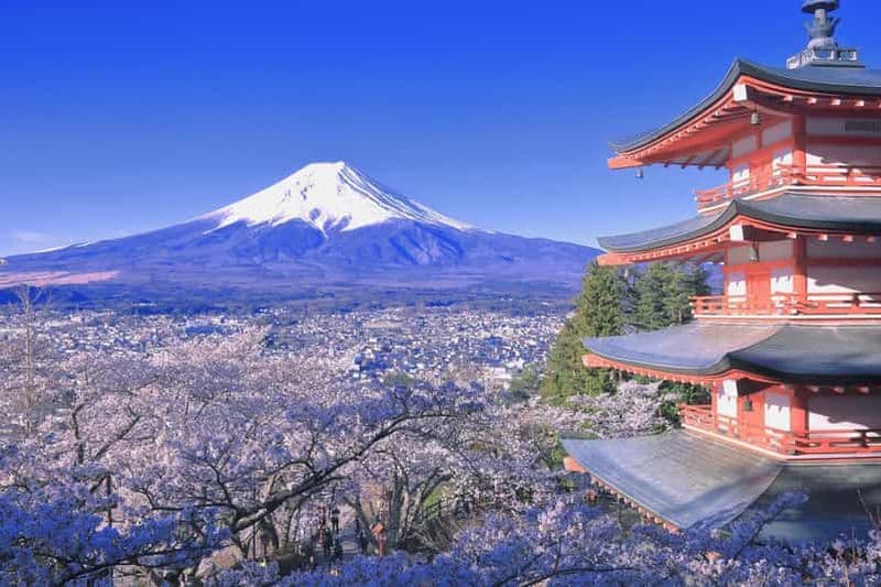Billet Tokyo : visite en petit groupe du mont Fuji et du lac Kawaguchi - 6 sites