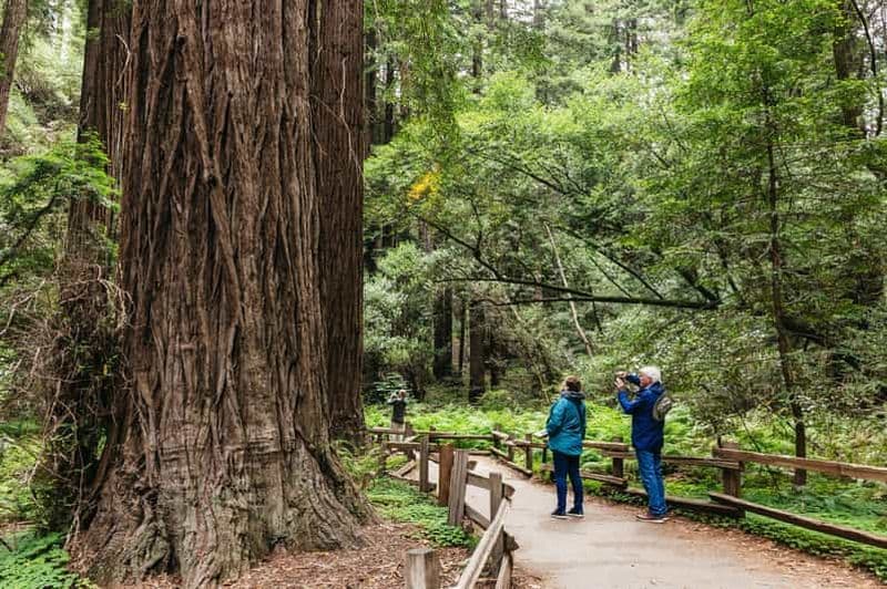Billet San Francisco : Muir Woods, visite des vignobles de la vallée de Napa et de Sonoma