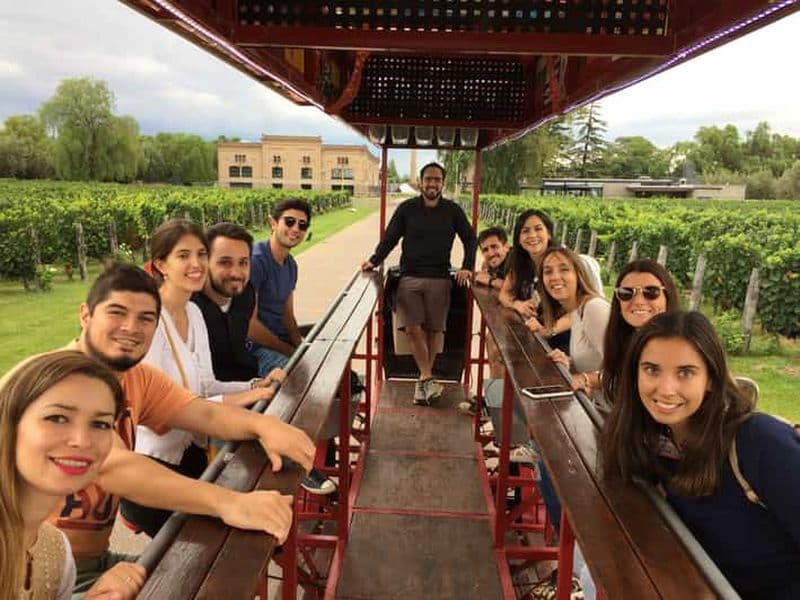 Billet Mendoza : Visite de dégustation de vins en bicyclette avec déjeuner facultatif