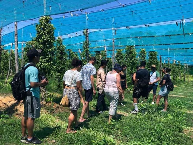 Billet Ferme de poivre de Kampot, champs de sel, grotte de Sihanoukville