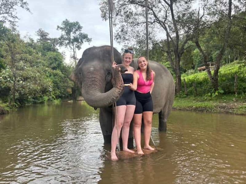 Billet Chiang Mai : Visite du sanctuaire des éléphants et des chutes d'eau en groupe