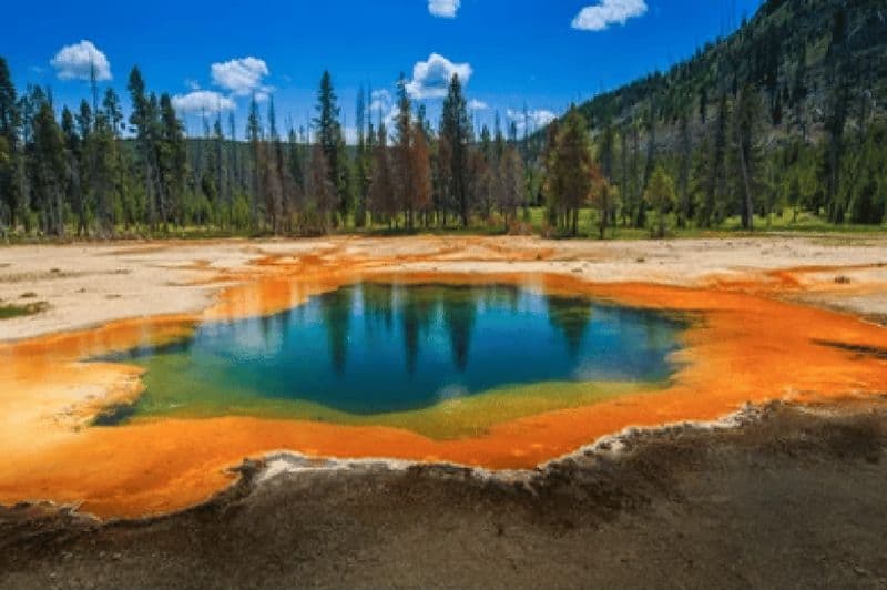 Billet Yellowstone et Grand Tetons : 4 jours/3 nuits d'aventure pour la faune et la flore