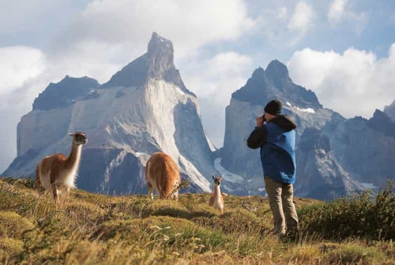 Billet Punta Arenas : Journée complète Torres del Paine + grotte de Milodon